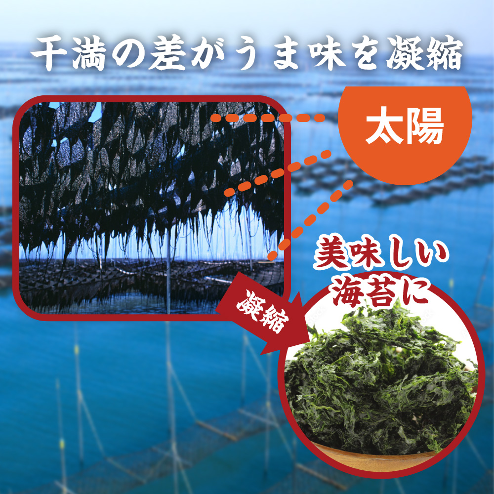 干満の差がうま味を凝縮